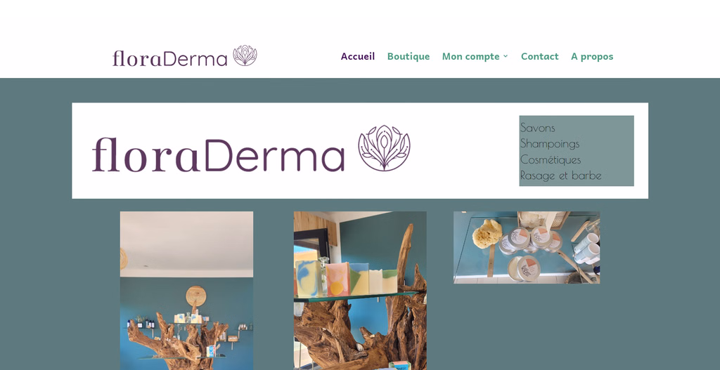 Illustration du projet