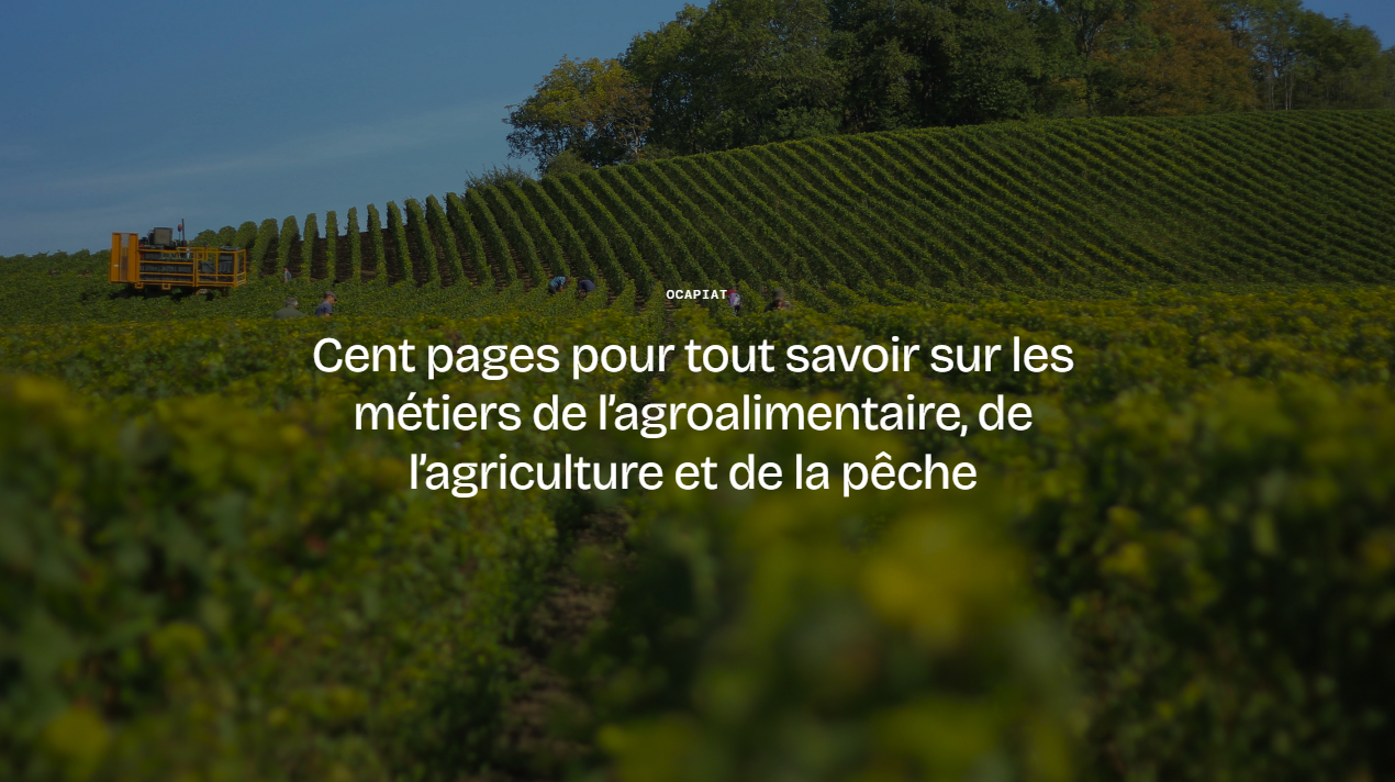 Illustration du projet Ocapiat