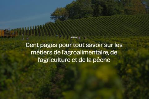 Illustration du projet