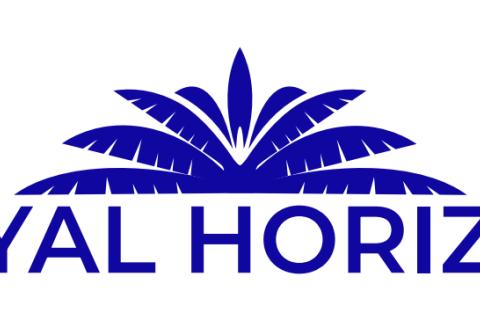 Illustration du projet