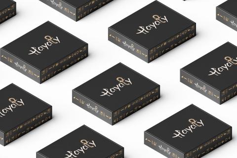 Illustration du projet