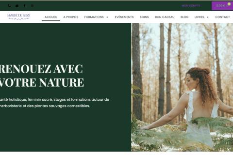 Illustration du projet