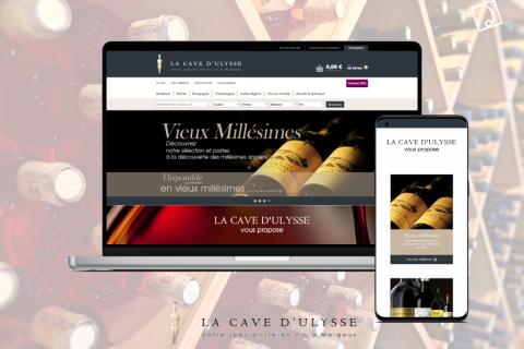 Illustration du projet