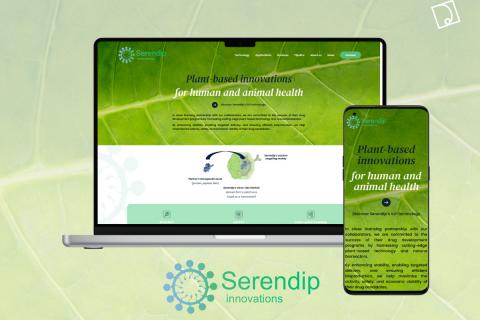 Illustration du projet