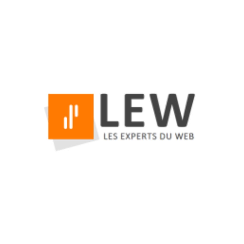 Logo agence Les Experts du Web (LEW)