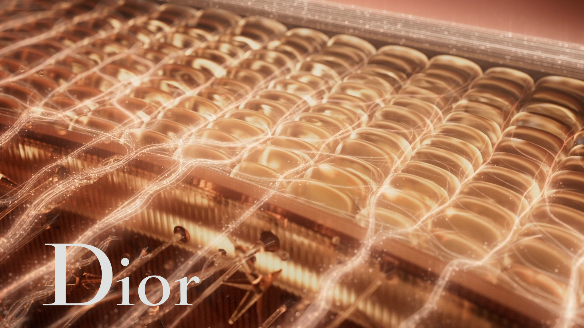 Illustration du projet Dior Prestige - Le Nectar Intégral