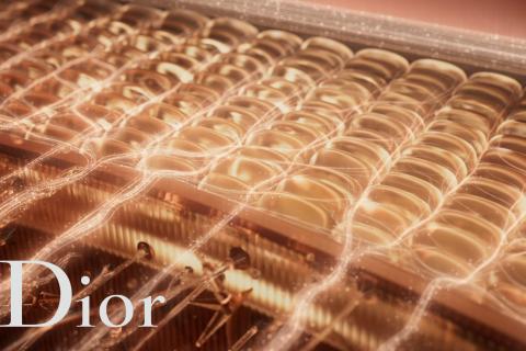 Illustration du projet