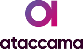 Ataccama ONE