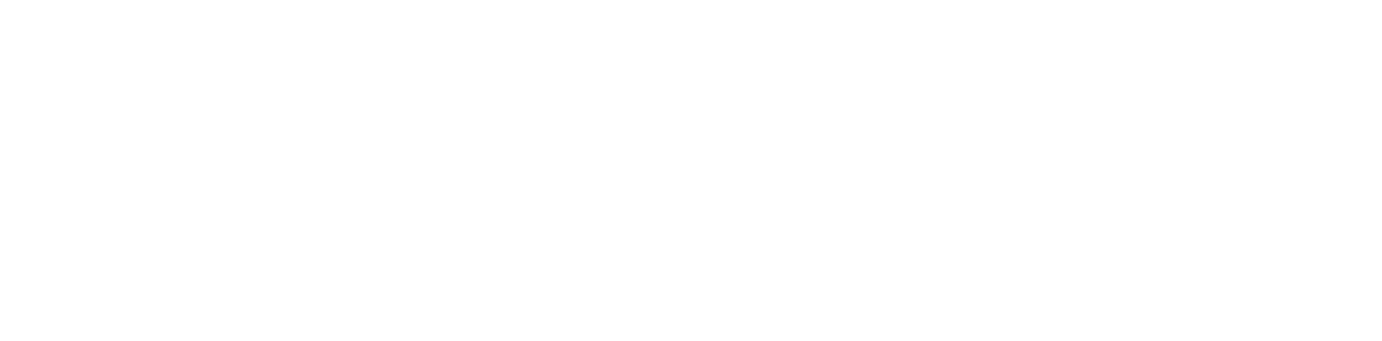 Lexis PolyOffice