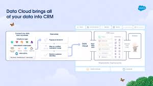 Salesforce Data Cloud
