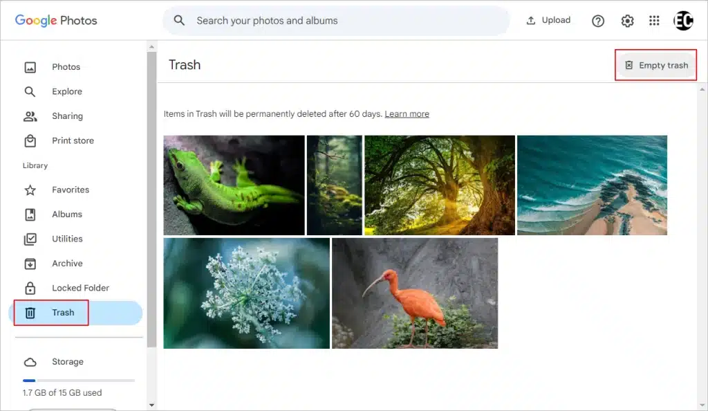 Google photos