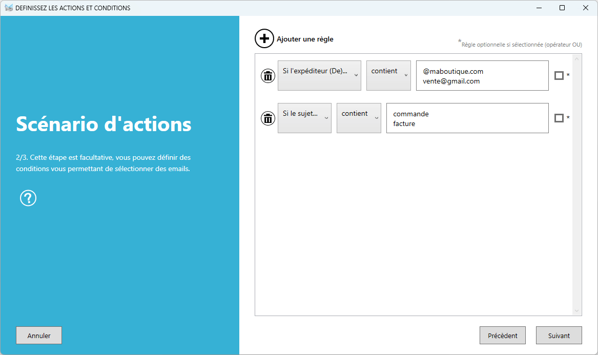 Automatic Email Manager