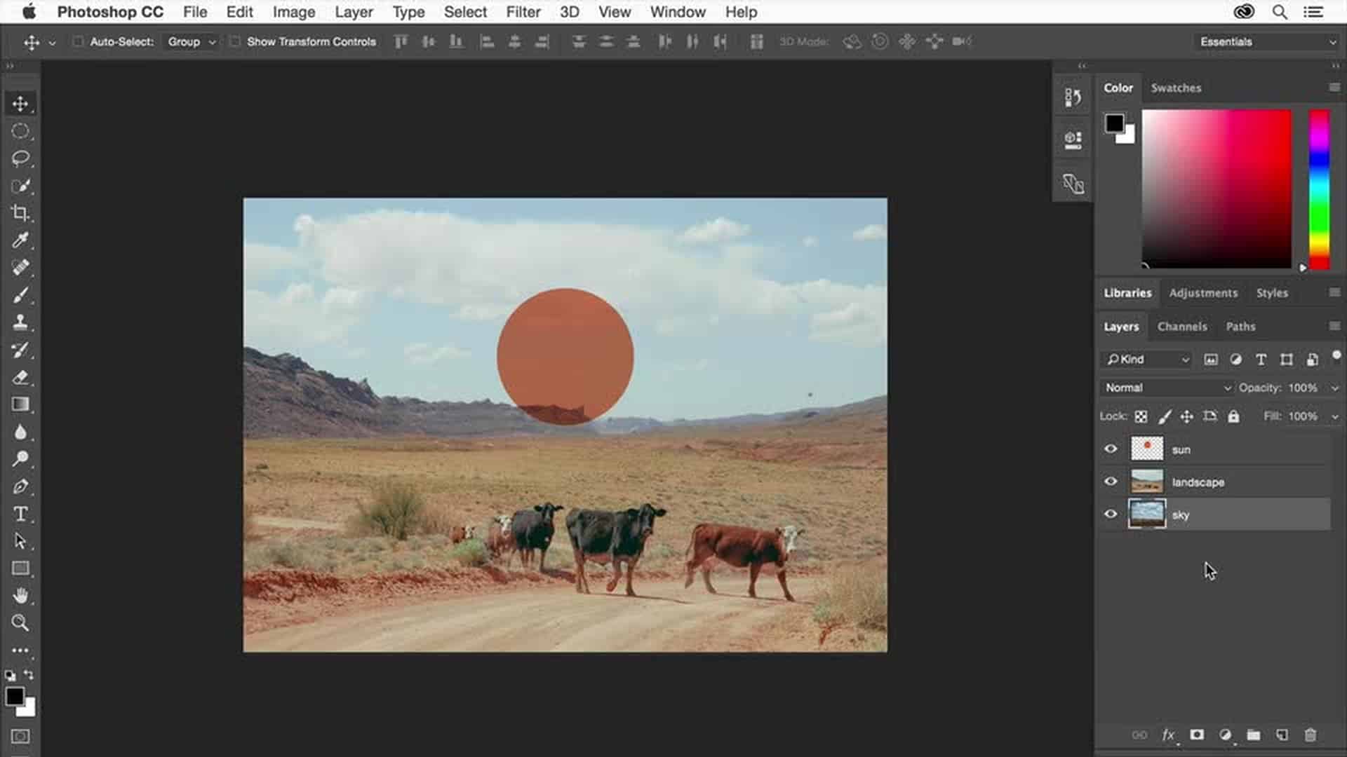 Adobe Photoshop